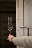Poháre na sekt sada 2 ks PAS42340728200W