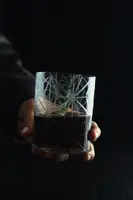 Pohár na whisky súprava 2 ks PAS45523014390G