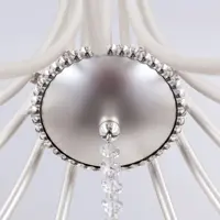 Luster s kovovými rameny OLU16706+6